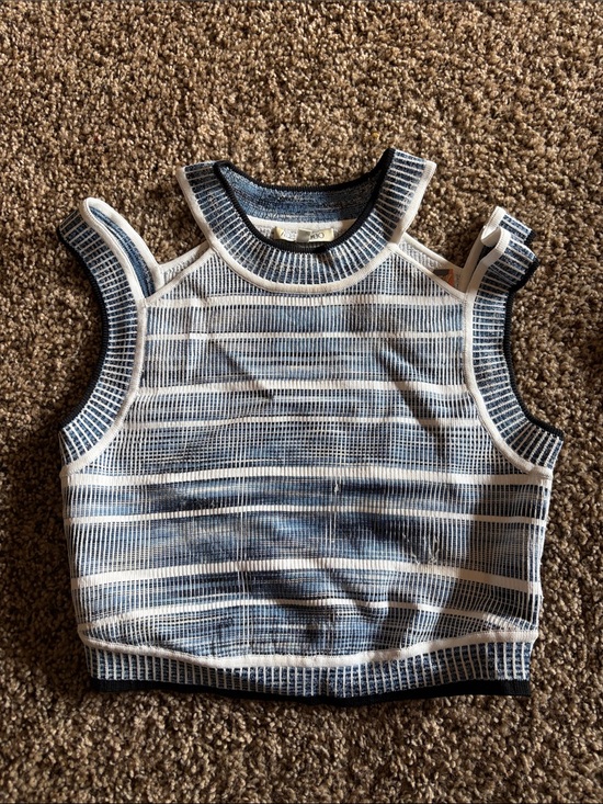 Torn by Ronny Kobo Tops - Torn by Ronny Kobo Blue & White Striped Cropped Knit Tank